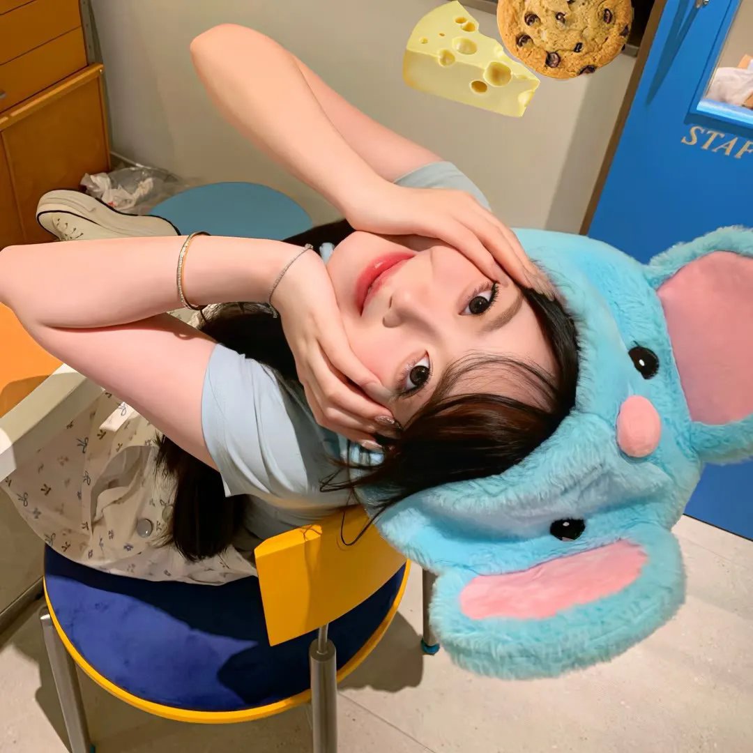 危鸡总动员